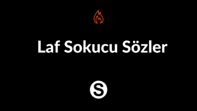 Laf Sokucu Sözler 2024